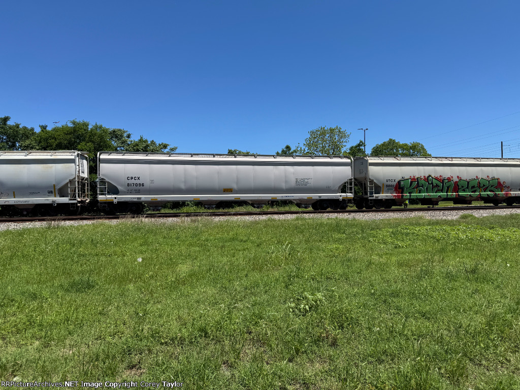 CPCX 817096